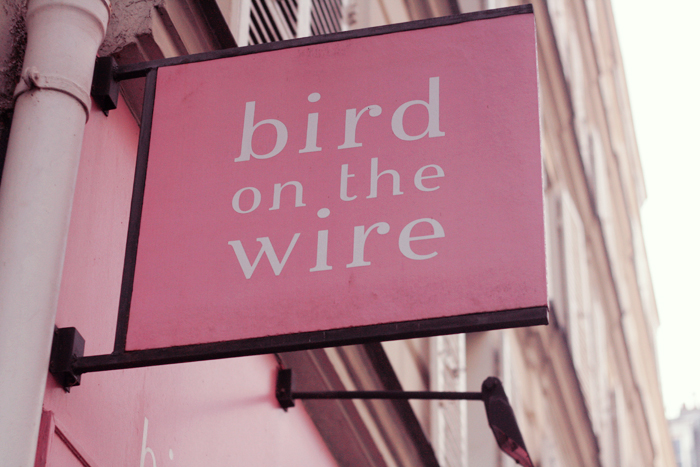 bird-on-the-wire
