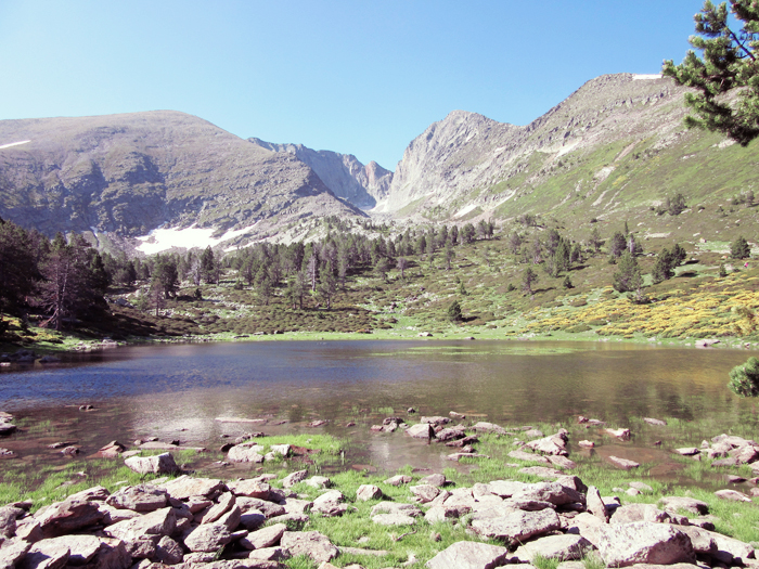 canigou