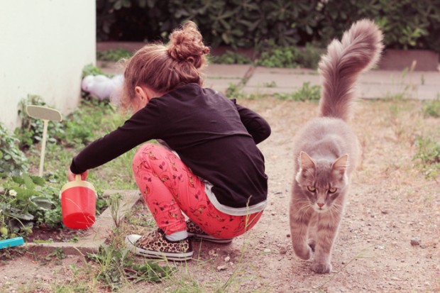 Le jardin magique ♥