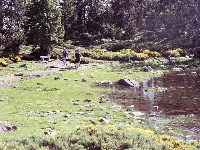 canigou22