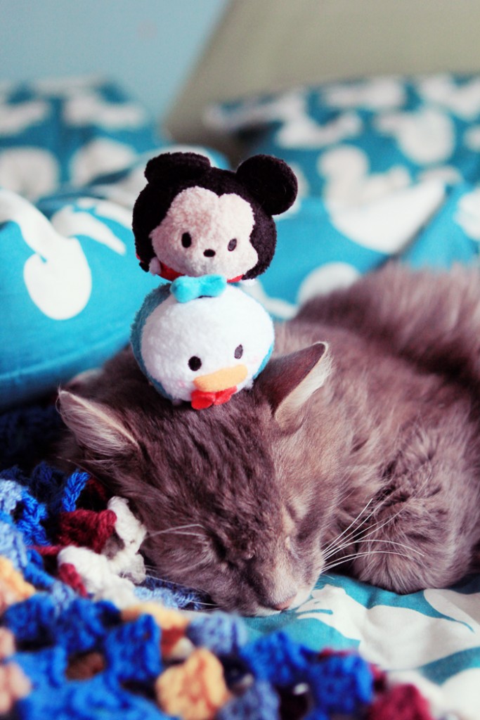 tsumtsum