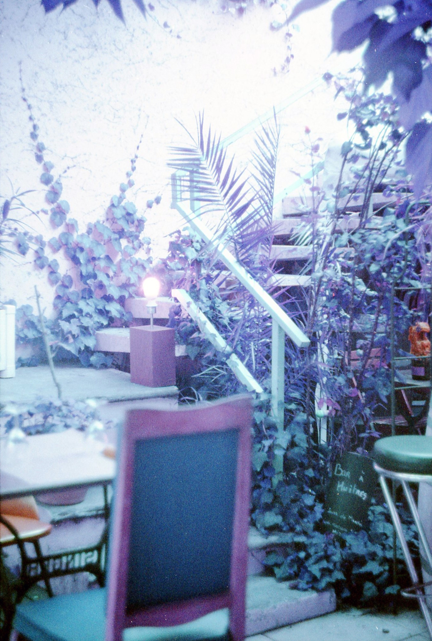 poulette-magique-purple-lomography-2