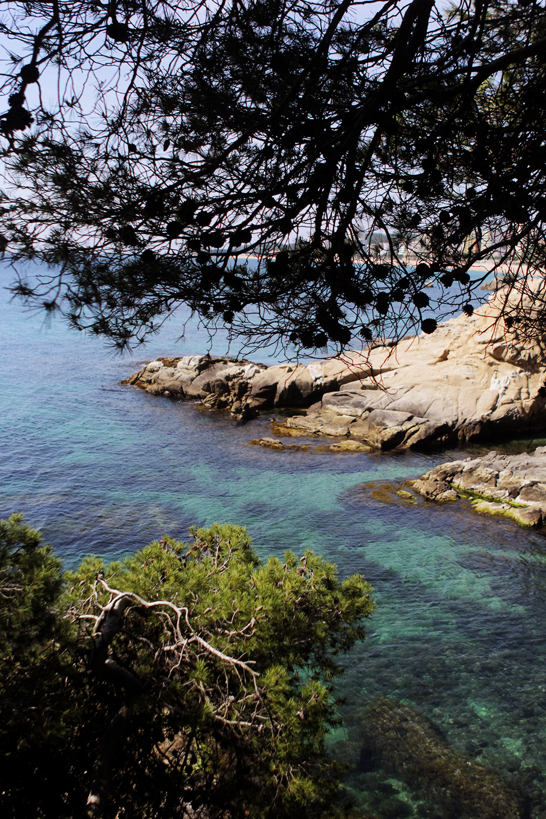 Platja de Aro et ses criques fabuleuses